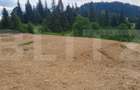 Teren 18.933 mp, parcelabil, zona Vatra Dornei - 2