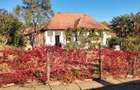 Casa de vanzare Raciu Mures