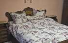 Apartament la casa de inchiriat zona CENTRALA - 2