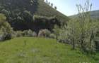 Vand teren, 1510 mp, loc de casa in comuna Lesu, jud Bistrita Nasaud - 6