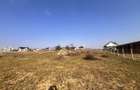 Teren Intravilan de Vanzare 40Ari | Suceava/Salcea I 4950Euro/Ar +TVA