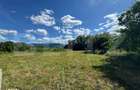 Teren intravilan de vanzare 2.281 mp | Sibisel-Rau de Mori | View - 2