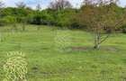 Teren 5000 mp-ideal investitie-Ghinda - 7
