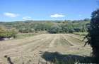 Teren intravilan 1900 mp, TAGA sat NASAL, pretabil constructie, zona verde - 6