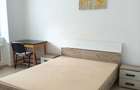 Persoana fizica, Apartament cu 1camera, 42mp, Podu Ros - 3