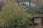 Vand casa in Oravi?a - 4