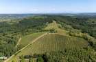 Crama Premium De Vanzare -60 Ha- Conac Istoric- Podgoria Dragasani