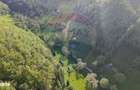 Teren 38,704mp Sirnea | 2.000 mp Intravilan | 36,704 Extravilan - 12