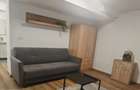 Apartament renovat recent Livada Postei - Fagetului - 2