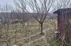 Casa cu teren 4000 mp in Bogei, Bihor - 6