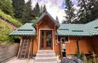 Chalet & A-Frame Rucar | Business Turistic Premium, 2107mp - 2