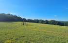 Teren extravilan, panorama deosebita intre Corunca si Bozeni,16.900 mp - 1