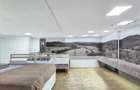 Spatiu comercial, Piata Centrala, 193mp - 4