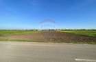 Teren Intravilan 6.220 mp | Strejnicu, Strada Livezilor - 4