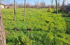 Casă cu 2 camere în Ion Roată - 8
