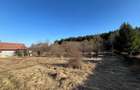 Teren Intravilan intre Savadisla si Finisel, 1250 mp, jud. Cluj - 3