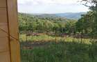 Teren intravilan 1.000 mp+Cabana Noua+Asfalt+Utilitati, panorama Superba spre Munti, altitudine 600 m, liniste absoluta, Daesti, Valcea - 2