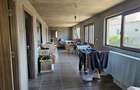 Vand Casa 2 camere 153mp Rusanesti, Olt - 8