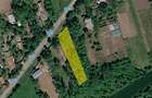 Intravilan Nuci, sat Merii Petchii - 14000 euro pentru 900 mp - 7