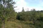 Vand teren extravilan curtea de arges - 4