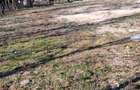 Vand teren intravilan sat Paulis comuna Soimus - 4
