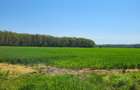 Golf Natural de Pădure Teren Unic  doar la Snagov