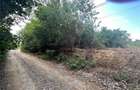 2500m Teren Intravilan Ora?ul Urla?i, Strada Orzoaia de Sus Zona Parc Bellu Acte Perfectate - 8