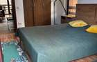 Apartament cu priveliște panoramică superbă către Munții Bucegi - 16