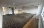Spatiu comercial de inchiriat - 3