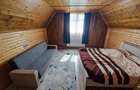 Cabana noua la Rasca cu teren de 6000 mp - 9