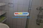 Piata Victoriei Iancu de Hunedoara Apartament 2 camere de inchiriat - 13