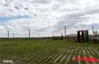 Pensiune + 4,7 Ha teren E85 Roman - Neamt - Afacere la cheie - 6