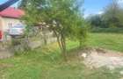 EXCLUSIV Vanzare casa noua in localitatea Cristoltel - 7