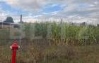Teren intravilan, 1000 mp, front 50 ml, zona Bunesti - 3