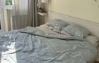 Apartament 2 camere, Grozavesti, mobilat - 11