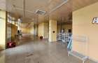 Spatiu comercial ultracentral 407 mp - 3
