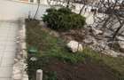 Iancu Nicolae: Apartament 3 camere, cladire boutique cu piscina ! - 1
