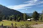 Teren intravilan 4.285 mp, Grinties-Neamt, zona Ceahlau, 9 /mp - 1