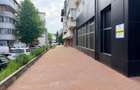 Spatiu comercial Ultracentral 110 mp - 1