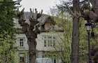 Proprietar vand teren 3349 mp in centrul orasului Sinaia - 2