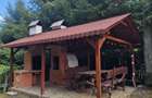 Cabana de vanzare in Orasti, com Posaga - 6