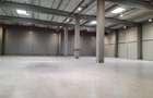 Spatiu Industrial - 5300 mp - Logistica - Productie - Depozitare - Distributie - 6