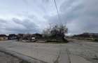 Vand Teren 127mp+Hala 267 mp Hateg str Galbena 47 Intravilan - 1