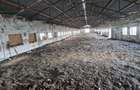 FERMA 6.5 ha intravilan-Parc industrial/logistic . Posibilitate de parcelare. Toate utilitatile - 8