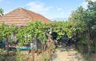 Vand casa in Deva, zona Viile Noi, suprafata totala de teren de 411 mp - 5