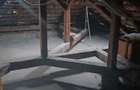 Vand casa in Bulgaria - 7