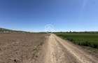 TEREN EXTRAVILAN DE VANZARE | 23 EURO/MP | 2900 MP | ZONA AEROPORT - 5
