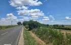 Teren Extravilan cota parte 3/16, Prundu, ID: R3316920