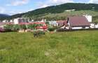 Teren intravilan in Cartierul Tei Piatra Neam? str. Orizontului 959mp - 5