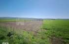 Teren extravilan, 8700 mp, pretabil agricultura sau investitie - Bod